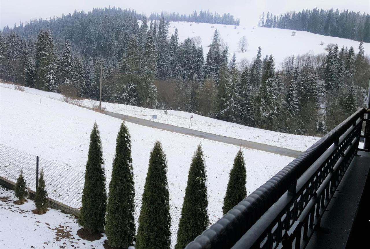 Villa Jagodovo Biały Dunajec Exterior foto