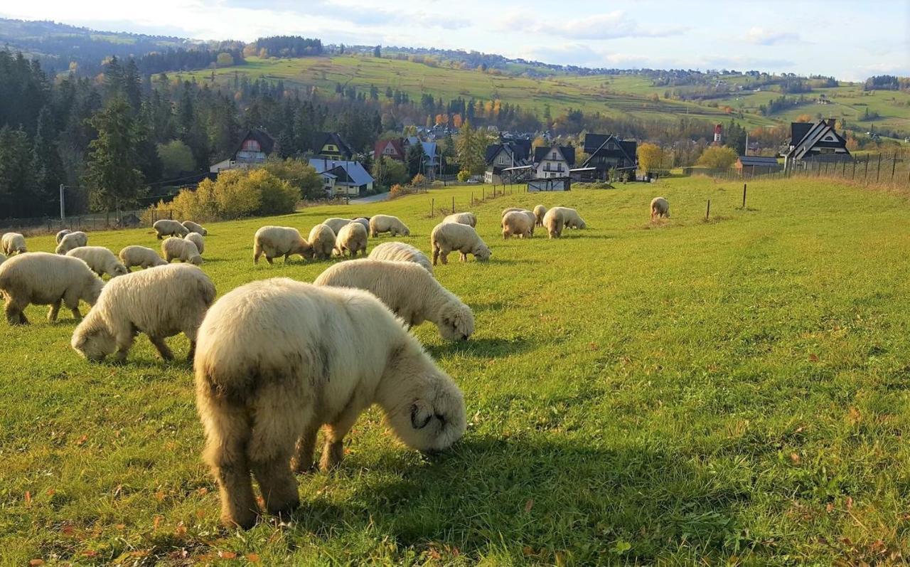 Villa Jagodovo Biały Dunajec Exterior foto